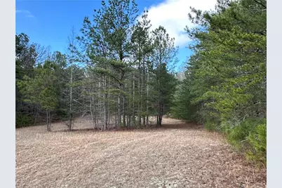 265 Evans Drive, Buchanan, GA 30113 - Photo 85