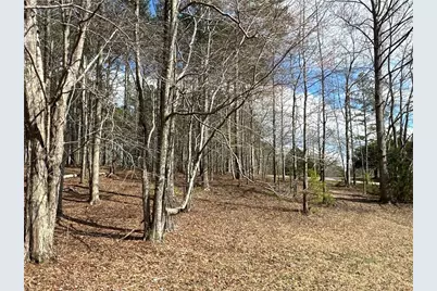 265 Evans Drive, Buchanan, GA 30113 - Photo 95