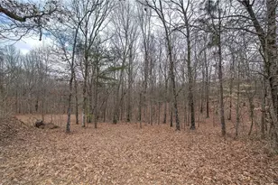 265 Evans Dr, Buchanan, GA 30113 - Photo 73