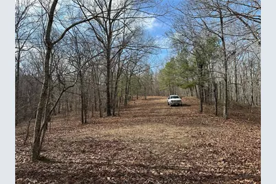 265 Evans Drive, Buchanan, GA 30113 - Photo 69