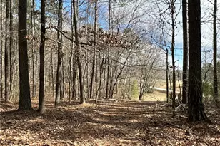 265 Evans Dr, Buchanan, GA 30113 - Photo 105