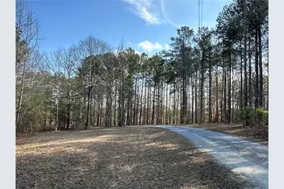 265 Evans Drive, Buchanan, GA 30113 - Photo 79