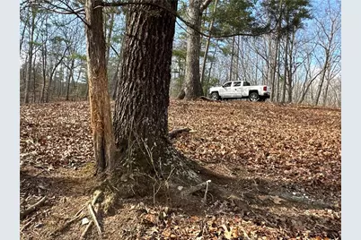 265 Evans Drive, Buchanan, GA 30113 - Photo 83