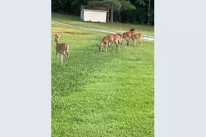 265 Evans Drive, Buchanan, GA 30113 - Photo 117