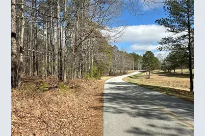 265 Evans Drive, Buchanan, GA 30113 - Photo 99