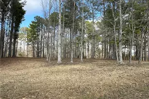 265 Evans Dr, Buchanan, GA 30113 - Photo 99