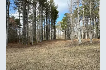 265 Evans Drive, Buchanan, GA 30113 - Photo 91