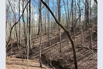 265 Evans Drive, Buchanan, GA 30113 - Photo 81