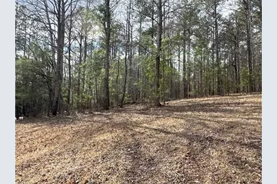 265 Evans Drive, Buchanan, GA 30113 - Photo 97