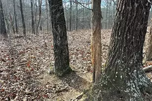 265 Evans Dr, Buchanan, GA 30113 - Photo 91