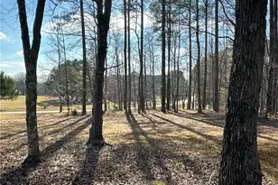 265 Evans Dr, Buchanan, GA 30113 - Photo 77