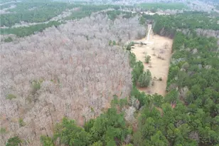 265 Evans Dr, Buchanan, GA 30113 - Photo 65