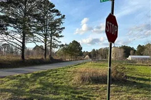 265 Evans Dr, Buchanan, GA 30113 - Photo 113