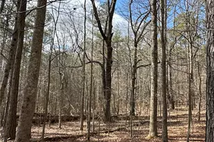 265 Evans Dr, Buchanan, GA 30113 - Photo 107