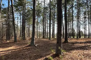 265 Evans Dr, Buchanan, GA 30113 - Photo 81