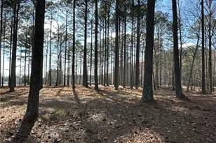 265 Evans Dr, Buchanan, GA 30113 - Photo 83