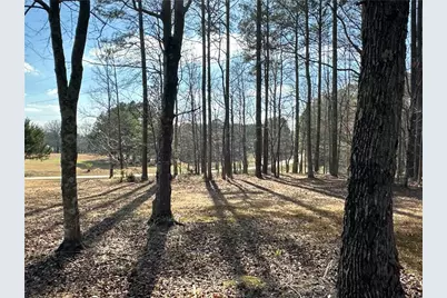 265 Evans Drive, Buchanan, GA 30113 - Photo 71