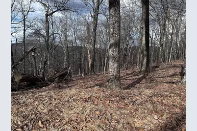 Tractc Old A T Approach Trail, Jasper, GA 30143 - Photo 15