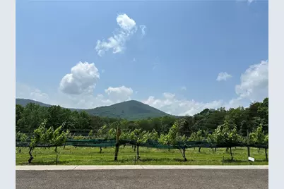 110 Rathgeb Trail, Jasper, GA 30143 - Photo 63