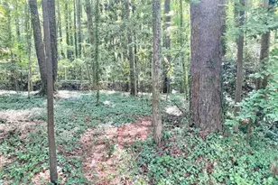 0 Fitch Ave SW, Atlanta, GA 30310 - Photo 1