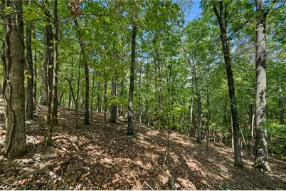 265 Red Cloud Drive, Waleska, GA 30183 - Photo 13