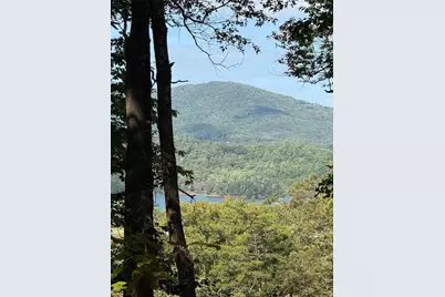 Lot 3 Whiskey Mountain Estates, Hiawassee, GA 30546 - Photo 5
