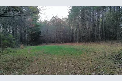 8165 Highway 81, Bethlehem, GA 30620 - Photo 1