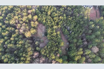 8165 Highway 81, Bethlehem, GA 30620 - Photo 17