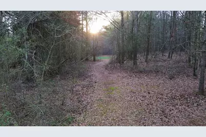 8165 Highway 81, Bethlehem, GA 30620 - Photo 5