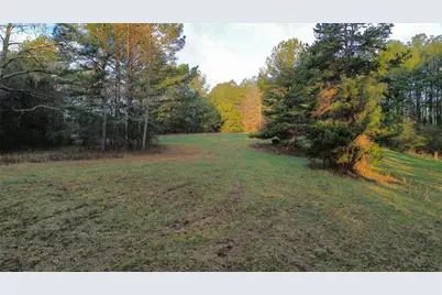 8165 Highway 81, Bethlehem, GA 30620 - Photo 9