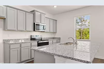 89 White Spruce Way, Newnan, GA 30265 - Photo 11