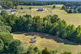 725 County Farm Rd, Jefferson, GA 30549 - Photo 59