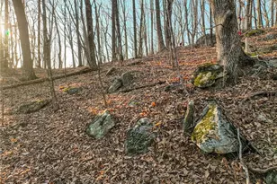 Lot 3 Mount Mincie Rd, Murrayville, GA 30564 - Photo 1