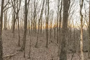 Lot 4 Mount Mincie Rd, Murrayville, GA 30564 - Photo 1