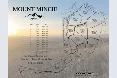 Lot 5 Mount Mincie Road, Murrayville, GA 30564 - Photo 1