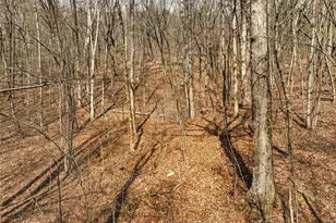 Lot 6 Mount Mincie Rd, Murrayville, GA 30564 - Photo 1