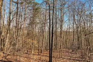 Lot 9 Mount Mincie Rd, Murrayville, GA 30564 - Photo 1