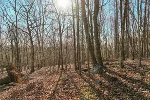 Lot 11 Mount Mincie Rd, Murrayville, GA 30564 - Photo 1