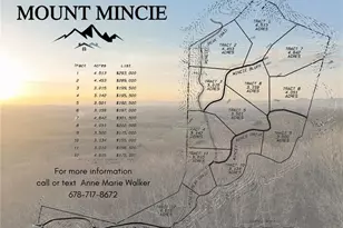 Lot 12 Mount Mincie Rd, Murrayville, GA 30564 - Photo 1