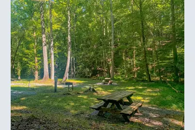 217 Walnut Ridge, Ellijay, GA 30540 - Photo 73