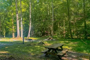 217 Walnut Ridge, Ellijay, GA 30540 - Photo 73