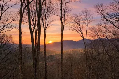 217 Walnut Ridge, Ellijay, GA 30540 - Photo 5