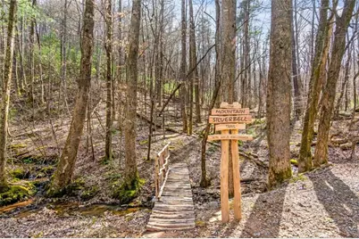 217 Walnut Ridge, Ellijay, GA 30540 - Photo 69