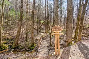 217 Walnut Ridge, Ellijay, GA 30540 - Photo 69