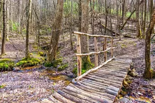 217 Walnut Ridge, Ellijay, GA 30540 - Photo 81