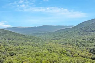 217 Walnut Ridge, Ellijay, GA 30540 - Photo 85