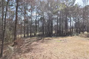 2430 Amber Hills Dr, Monroe, GA 30655 - Photo 15