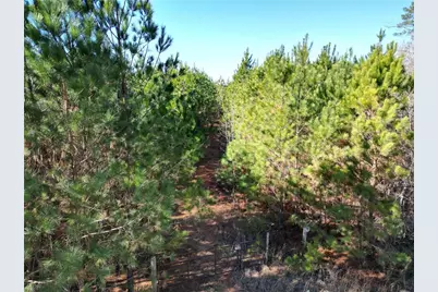 0 Jaudon Road, Elberton, GA 30635 - Photo 7