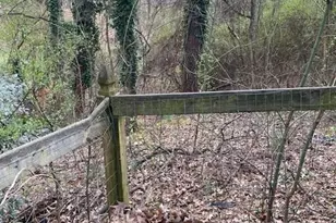 140 Line St, Buford, GA 30518 - Photo 27