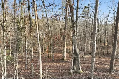 7707 Elm Circle, Murrayville, GA 30564 - Photo 15